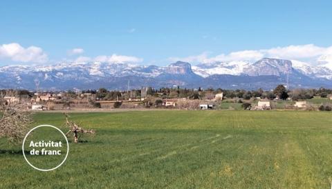 UOM a Mallorca 2025